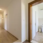 Lena Апартаменты *
